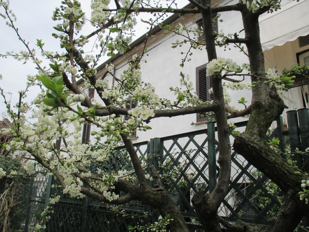 Dimora & Arte B&B Canneto sull'Oglio ภายนอก รูปภาพ